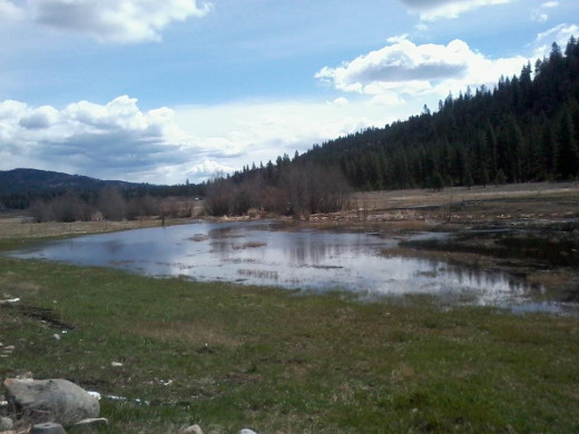 A little paradise of mine!