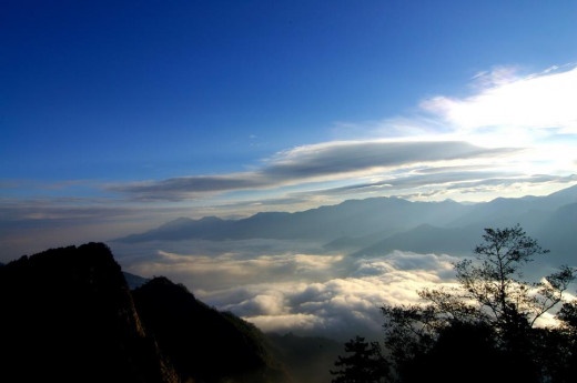 Reaching out to heaven!