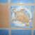 There were even sea turtles on the tile in the rooms.