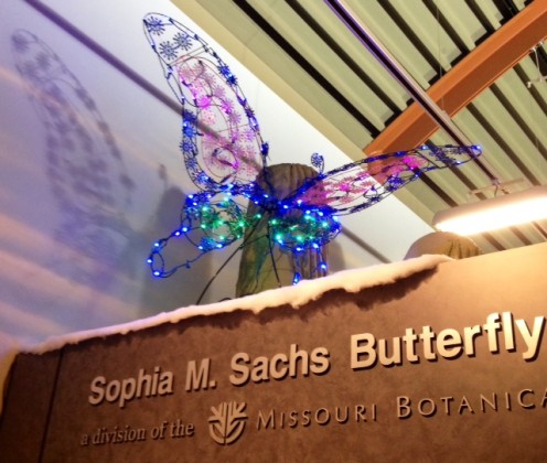One of the beautiful butterfly decorations at the Butterfly House during the Christmas season. 
