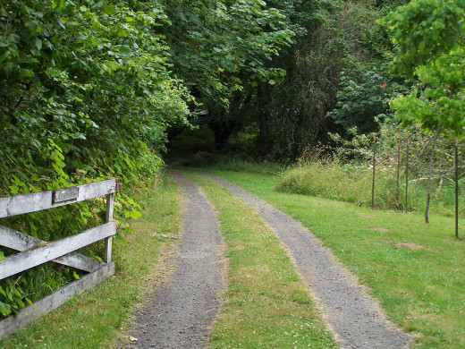 Choose your path and begin the journey