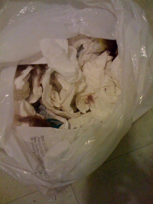 Routine household trash collection bag, full of paper towels, before we pitched them for good
