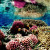 Coral Reef Coral Reef