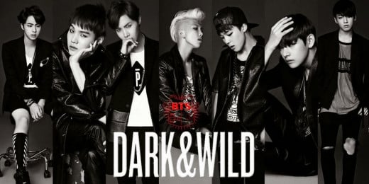 BTS' Dark & Wild