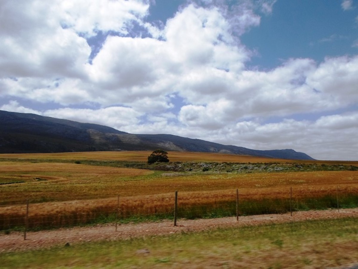 Between Caledon and Riviersonderend, Western Cape, South Africa 