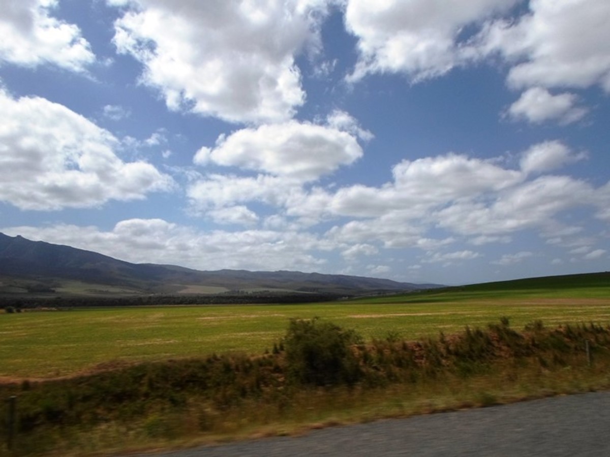 Between Riviersonderend and Swellendam, Western Cape, South Africa 