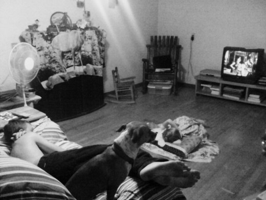 Miller's family dog (Lacey) rescued 2 years ago.