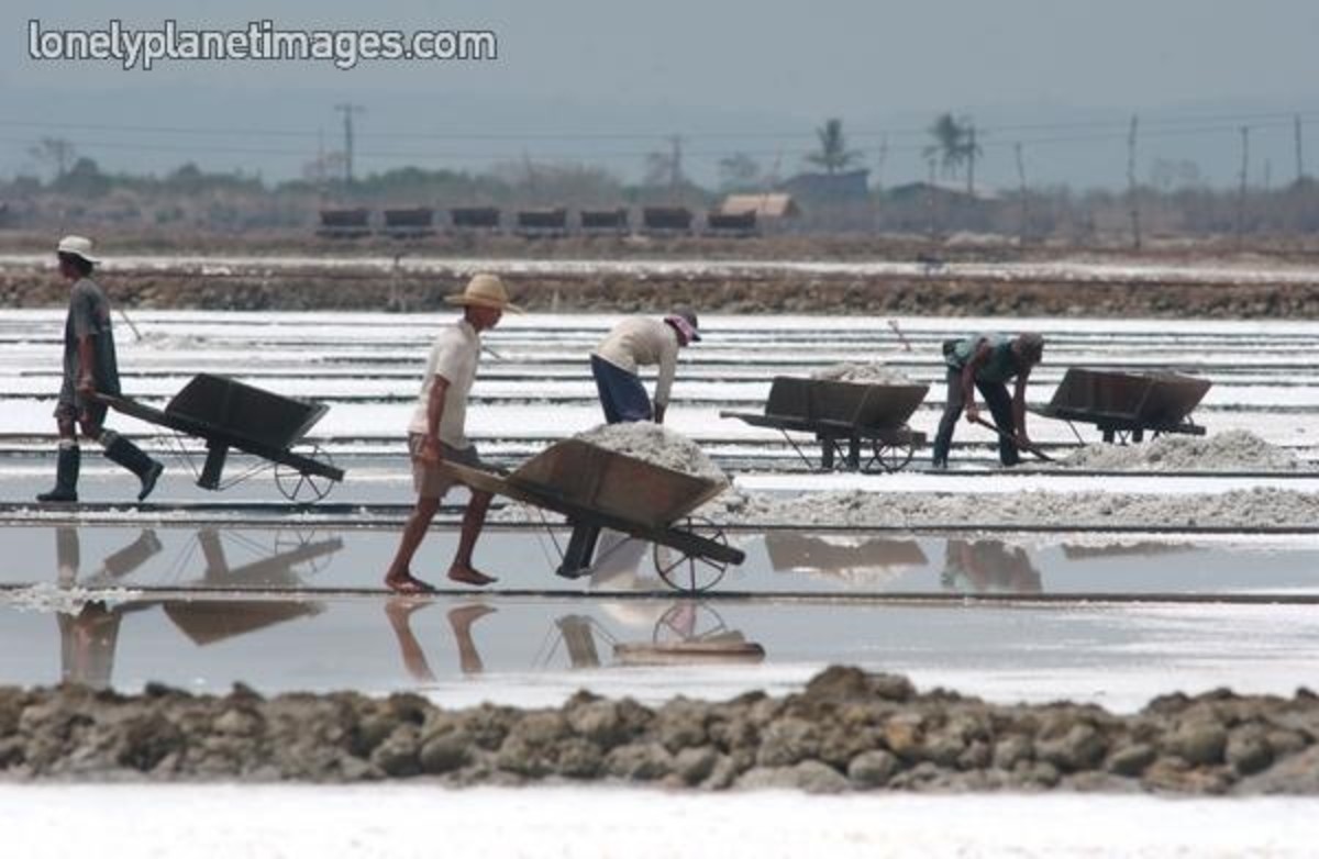 Salt Harvest in Anda, Pangasinan, Philippines (Photo credit: lonelyplanetimages.com)