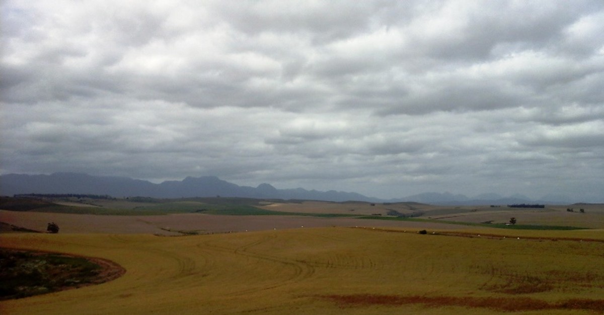 Between Heidelberg and Riversdale, Western Cape, South Africa