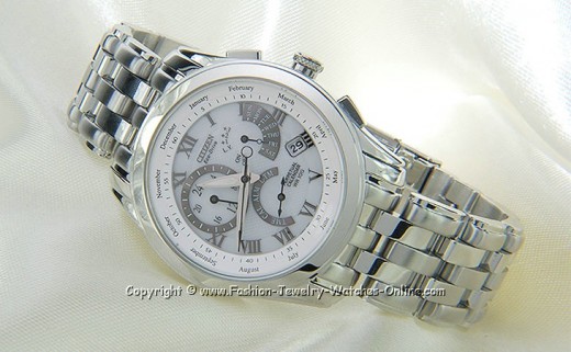 Mens Perpetual model