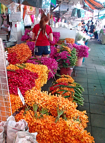 Orchid bundles at a flower stall