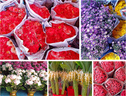 Bangkok: Pak Khlong Talat Flower Market