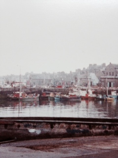 The harbour