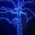 A beautiful, non pine tree lit up! A beautiful, non pine tree lit up!