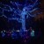 Trees lit up! The larger tree in back, is simply remarkable. How they have it lit up like that, is beautiful, and shows some real talent I think! Trees lit up! The larger tree in back, is simply remarkable. How they have it lit up like that, is beautiful, and shows some real talent I think!
