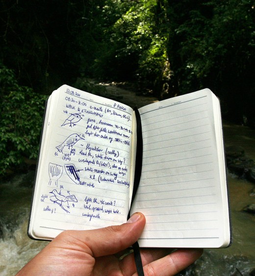 No matter your discipline, journaling improves art.  