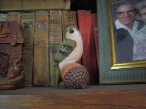 Cynthia Ross' bookshelf. 