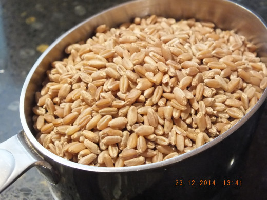 Yes, that's what wheat kernels look like before they are ground to flour!