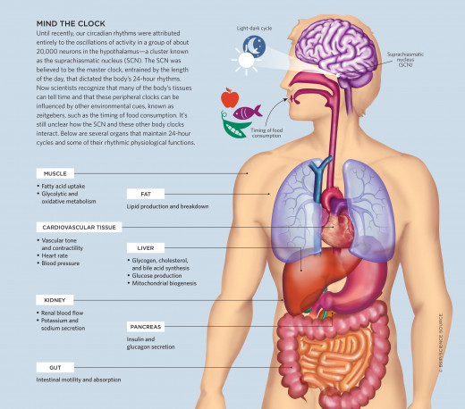 Bigger picture available by following source link