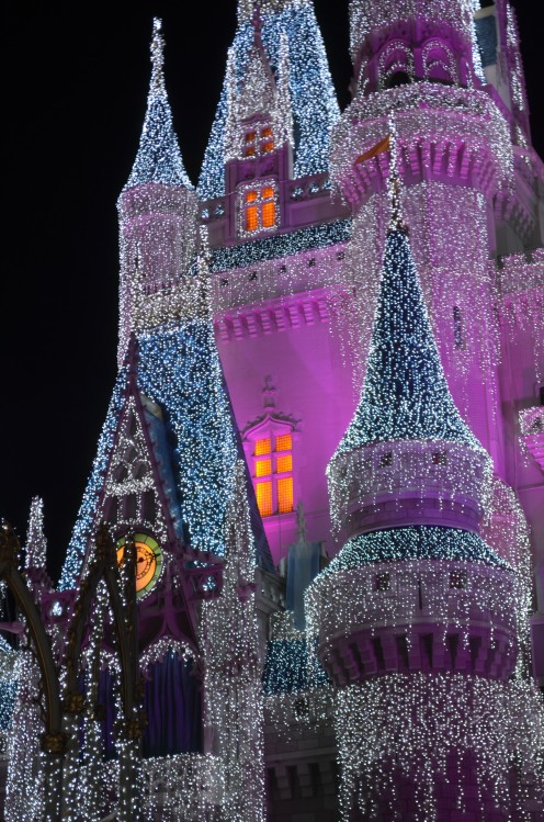 Everything is coming up FROZEN these days at The Magic Kingdom at Walt Disney World. This is a close-up of the icing on Cinderella's Castle during Thanksgiving Week.