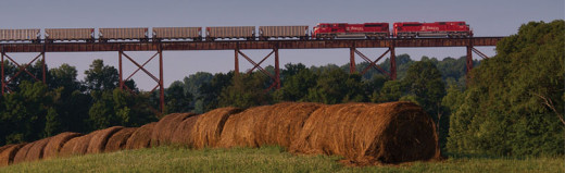 Now over 100 years old, the Tulip Trestle is still in use.