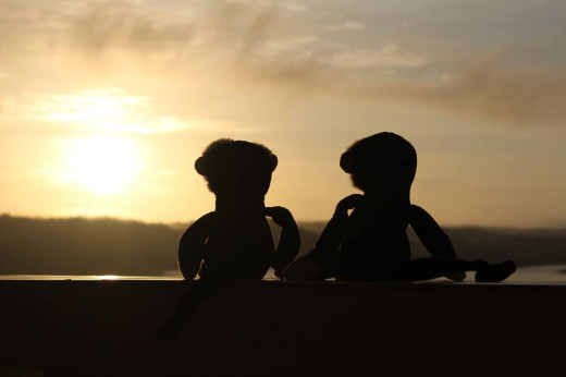 Two Mooches enjoying the sunrise in Flores, Guatemala.