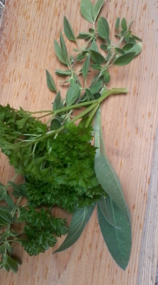 Fresh parsley , sage and marjoram