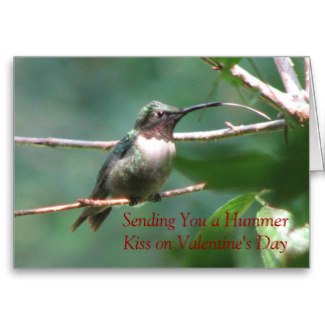 This Ruby-throated hummingbird looks like it is sending a sloppy hummer kiss. Hummingbird males are beautiful, but do not help the female raise the young. He's more of a love them and leave them kind of guy.