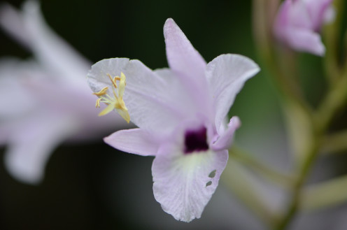 Budgeting and having more money, can allow for more things like gardening or other hobbies like photography.