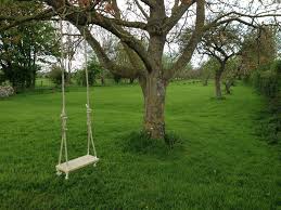 A swing tied to a tree branch is a typical swing that can be built easily in the countryside, this was one of the activities that when I was young would attract my attention. It was a welcome break from our farm boring life.  
