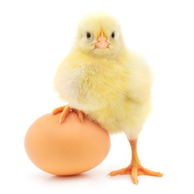 Which came first?