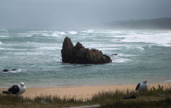 Travel in South Africa – from Mossel Bay to Knysna