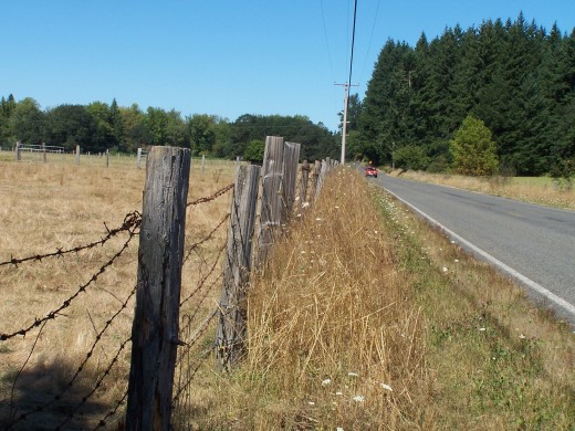 Along South Bay Road