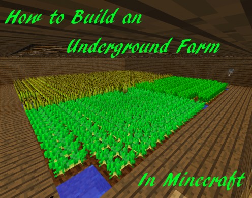 How to Build an Underground Farm in Minecraft  LevelSkip