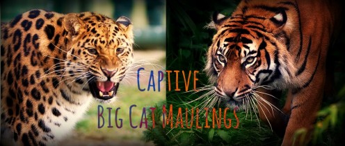 Exotic Pet Statistics: Lion, Tiger, and Big Cat Attacks and Fatalities in the United States (1990-2014) Exotic Pet Statistics: Lion, Tiger, and Big Cat Attacks and Fatalities in the United States (1990-2014)