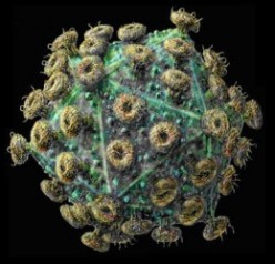 Is A Cure For AIDS In Sight? - Moving Towards An AIDS-Free Generation