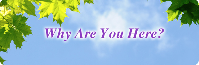 http://s1.hubimg.com/u/12115602.jpg