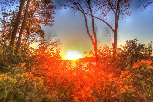 A beautiful picture of the sun setting through the trees, with bright sunlight shining all around.  I love the colors.