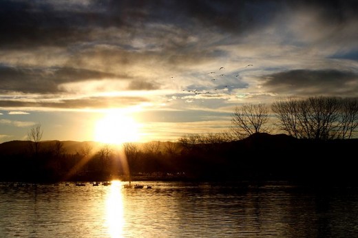 I love this picture of the Sun over the lake, with birds in the sky and geese on the water.  It is so bright and beautiful.