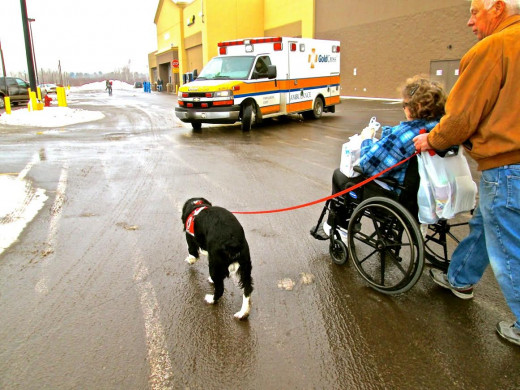 The ambulance stops  at a safe distance until Hunter has crossed “from curb to curb” with his people safely.