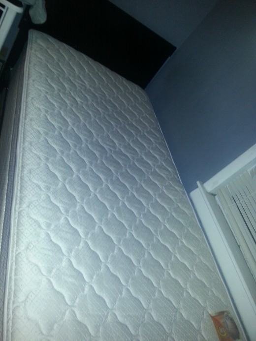 Surviving Scabies Fifteen Steps That Worked For Us HealDove