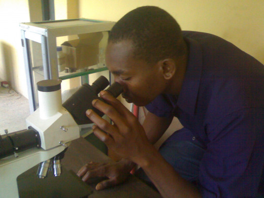 Viewing of the etched metal surface. This is done using microscope. 