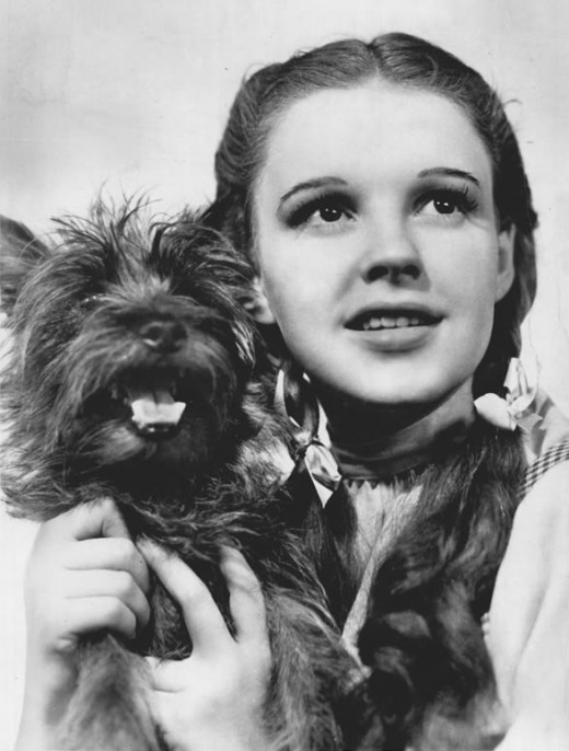 There are more Dorothy dolls on this planet than I'm prepared to understand.
