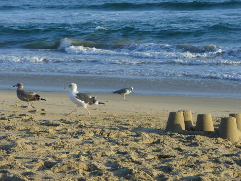 In Huntington Beach, California.  My son had been playing in the sand, and then was off again.  I love views like this, simple but sweet.