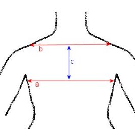 Armhole length