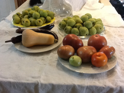 Pears, butternut squash, Iciban eggplant and heirloom tomatoes including Cherokee Purple and rainbow are just a few of the delicious bounty from our backyard garden.
