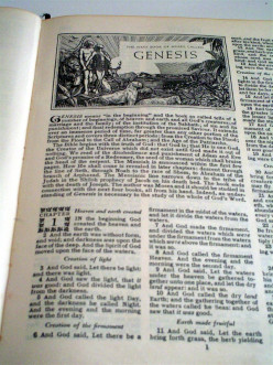 Genesis: Our Modern Human Origin Story