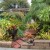 It took a lot of time an effort, but not all at once, to create this from the lawn that was here.