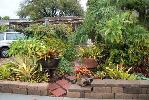 It took a lot of time an effort, but not all at once, to create this from the lawn that was here.