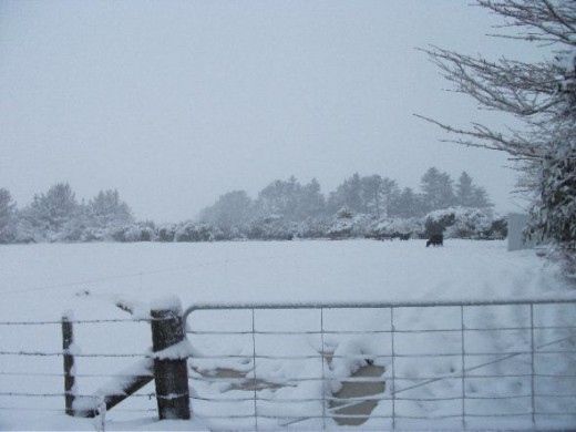 This is a scene looking at that beautiful mountain above when it is snowing. 